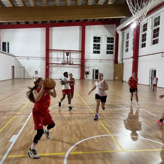 Palestre, spazi e discipline: il Comune riordina lo sport cittadino ad Alba
