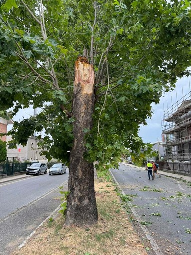 I danni del temporale che ha colpito Alba e le Langhe nei giorni scorsi I danni del temporale che ha colpito Alba e le Langhe nei giorni scorsi