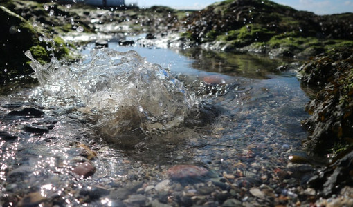 Immagine di repertorio