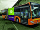 Bus urbani, ad Alba varato il servizio rinnovato con 7 linee e corse ogni 20 minuti