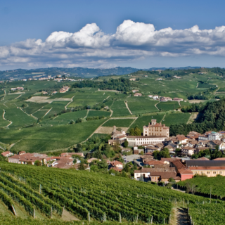 “Il Barolo oggi”: domani all’Enoteca Regionale una degustazione sulla contemporaneità del Re dei Vini
