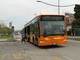 Alba: autobus straordinari per i cimiteri di via Ognissanti e Mussotto Alba: autobus straordinari per i cimiteri di via Ognissanti e Mussotto