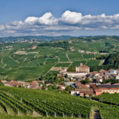 FARINÉL / La grandezza del Barolo e la sfida della dignità FARINÉL / La grandezza del Barolo e la sfida della dignità