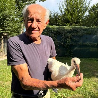 Bruno Vaschetti fondatore del Centro Cicogne e Anatidi di Racconigi nel 1985 Bruno Vaschetti fondatore del Centro Cicogne e Anatidi di Racconigi nel 1985