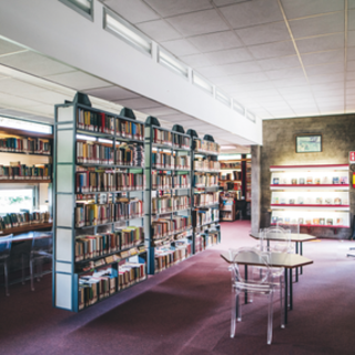 A Dogliani un incontro con Mai+Sole: “Uscire dal silenzio è possibile, ma servono condizioni reali per farlo”