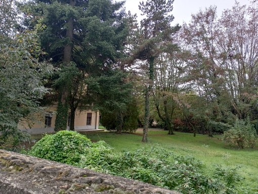 Bra, Italia Nostra e Legambiente: "Giù le mani dal parco di Villa Augusta"