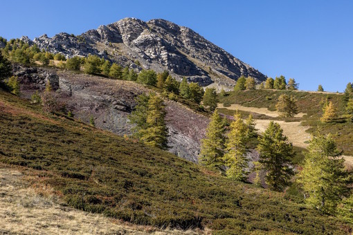 PITER ALPIMED+: al via a Cuneo il primo festival della cooperazione transfrontaliera