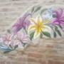 Bra, è primavera e sbocciano i fiori su un muro di via Bonino Bra, è primavera e sbocciano i fiori su un muro di via Bonino