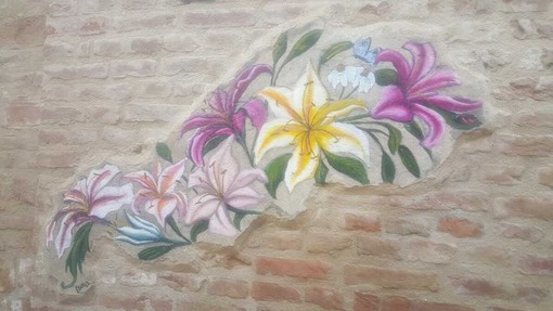 Bra, è primavera e sbocciano i fiori su un muro di via Bonino Bra, è primavera e sbocciano i fiori su un muro di via Bonino