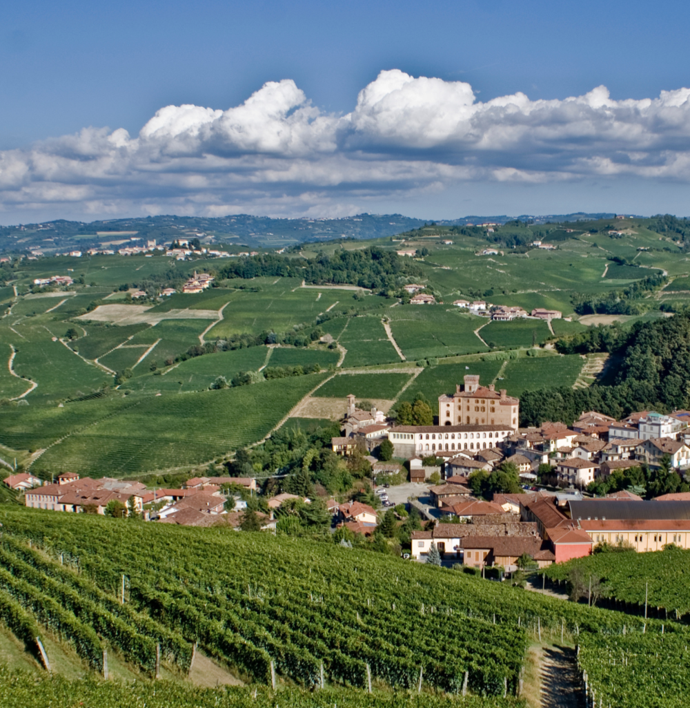 FARINÉL / La grandezza del Barolo e la sfida della dignità FARINÉL / La grandezza del Barolo e la sfida della dignità