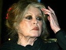 Brigitte Bardot scrive al medico dei ricci di Novello: "Innamorata del vostro Centro"