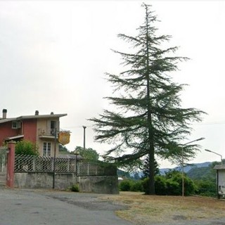 L'ex ristorante "La Torre" di Brondello potrebbe essere trasformato in un Centro di prima accoglienza