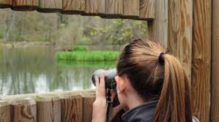 Immagine di repertorio