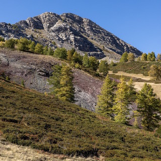 PITER ALPIMED+: al via a Cuneo il primo festival della cooperazione transfrontaliera