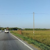 Velox fisso a Cherasco: in soli due mesi già scattate 22 mila foto Velox fisso a Cherasco: in soli due mesi già scattate 22 mila foto