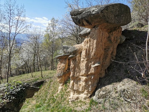 Riserva Ciciu del Villar, foto archivio Apam