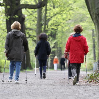 Tra gli oggetti smarriti anche dei bastoncini da trekking