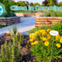 Busca, sabato 3 ottobre il "Clima in Cammino Day" per scoprire la città con occhi nuovi Busca, sabato 3 ottobre il "Clima in Cammino Day" per scoprire la città con occhi nuovi