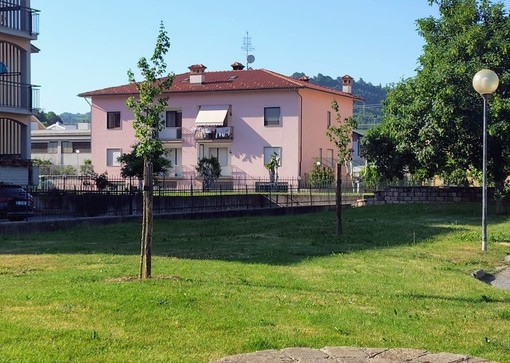 Ceva investe sul verde urbano: nuove piantumazioni tra parchi, vie e piazze Ceva investe sul verde urbano: nuove piantumazioni tra parchi, vie e piazze