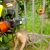 Immagine di repertorio