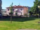 Ceva investe sul verde urbano: nuove piantumazioni tra parchi, vie e piazze Ceva investe sul verde urbano: nuove piantumazioni tra parchi, vie e piazze