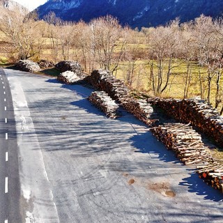 Valdieri, pubblicato bando per la vendita del legname di Desertetto Valdieri, pubblicato bando per la vendita del legname di Desertetto