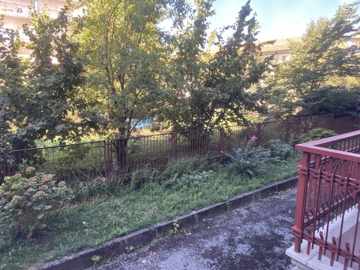 L'area segnalata dal lettore, sullo sfondo, oltre la recinzione