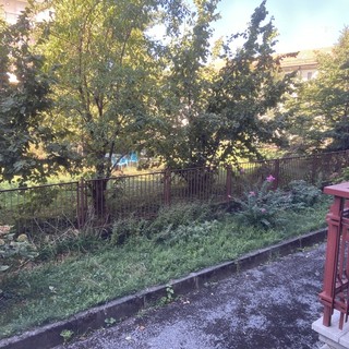 L'area segnalata dal lettore, sullo sfondo, oltre la recinzione