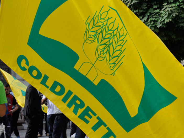 Inaugurato il centro servizi alla persona in piazza Europa a Cuneo