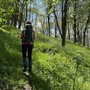 Alla ricerca di tracce preistoriche sul sentiero del Rio Laità: escursione gratuita a Ostana il 17 giugno Alla ricerca di tracce preistoriche sul sentiero del Rio Laità: escursione gratuita a Ostana il 17 giugno