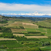 Piemonte Documenteur Film Fest, dal 22 al 29 agosto le Langhe si trasformano nel set delle «bugie» più credibili Piemonte Documenteur Film Fest, dal 22 al 29 agosto le Langhe si trasformano nel set delle «bugie» più credibili