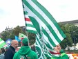 Nelle foto alcuni momenti della manifestazione tenuta in piazza Foro Boario