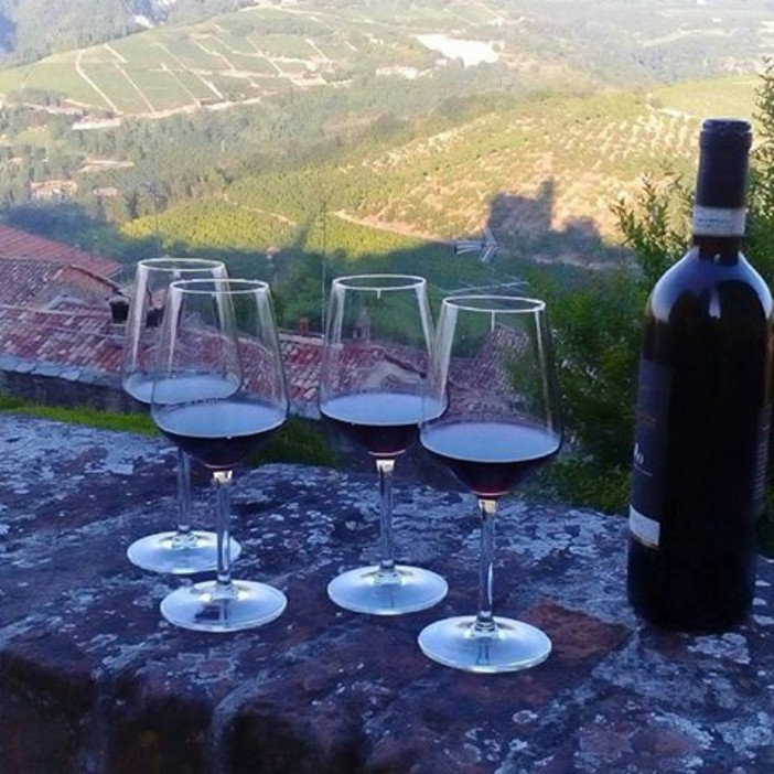 Serralunga d’Alba, “Prosit!” al Castello: un calice di Barolo Docg davanti ai Cru che lo hanno generato Serralunga d’Alba, “Prosit!” al Castello: un calice di Barolo Docg davanti ai Cru che lo hanno generato