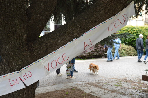 Immagine di repertorio Immagine di repertorio