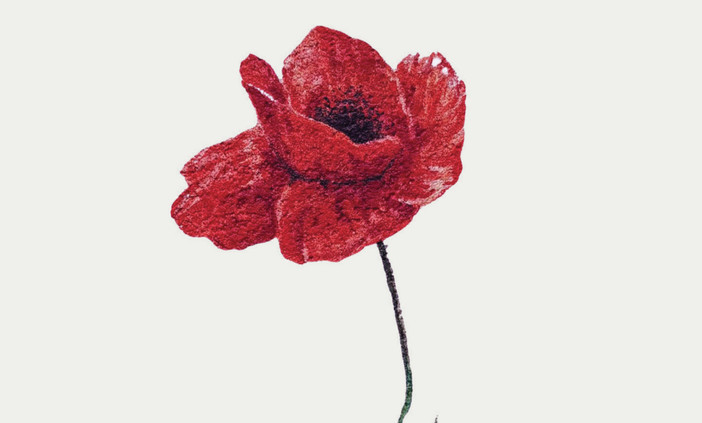 Immagine dalla copertina di "Che ne sarà di noi?" di Giulia Arduino