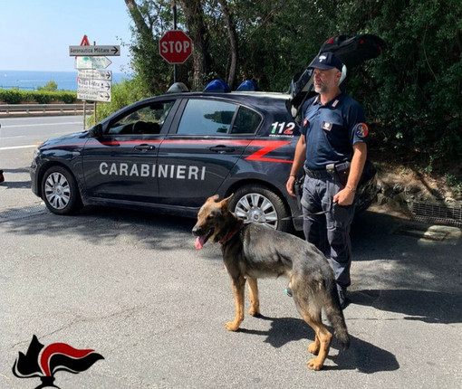 Lo fermano con 18 dosi di cocaina davanti a una discoteca di Alassio: nei guai 28enne residente nel Cuneese Lo fermano con 18 dosi di cocaina davanti a una discoteca di Alassio: nei guai 28enne residente nel Cuneese