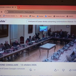 L'audizione streaming del presidente Gola