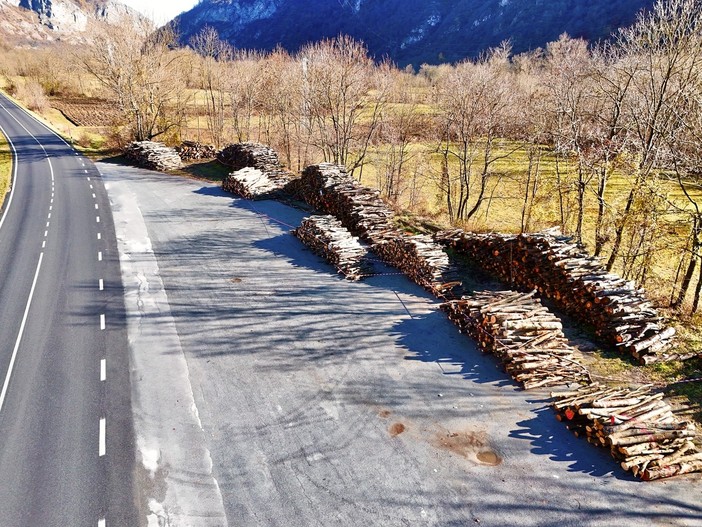 Valdieri, pubblicato bando per la vendita del legname di Desertetto Valdieri, pubblicato bando per la vendita del legname di Desertetto