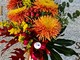 Fiorito, fiori e tradizione per la Festa dei Santi