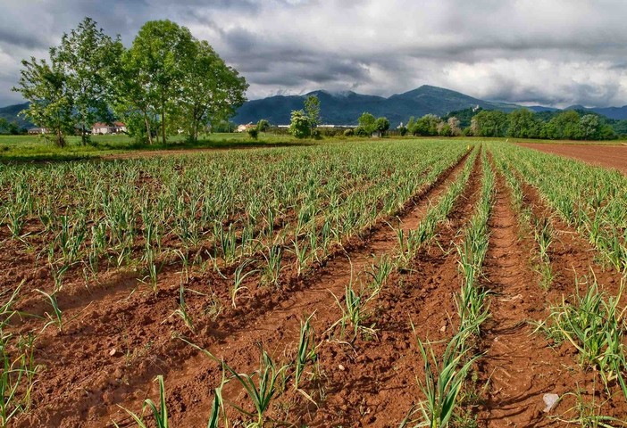 A Cuneo il convegno “Il suolo è vita, ridiamo vita al suolo”