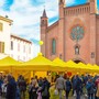 Alba si colora di giallo per il Campagna Amica Day: il Made in Cuneo protagonista nel weekend