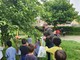 Coccinelle per la difesa biologica di alberi e piante: coinvolte le scuole dell'infanzia di Alba