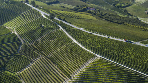 La rivista Tedesca Weinwirtschaft premia la cantina Terre del Barolo come la migliore cooperativa italiana 2020