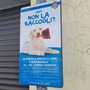 Quando l'inciviltà la fa da "padrone": a Cherasco l'invito a raccogliere le deiezioni dei cani Quando l'inciviltà la fa da "padrone": a Cherasco l'invito a raccogliere le deiezioni dei cani