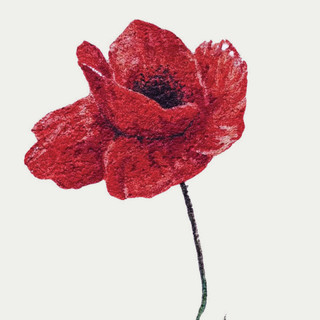 Immagine dalla copertina di "Che ne sarà di noi?" di Giulia Arduino