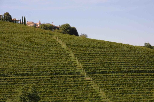 Nuovi orizzonti per le aziende del vino,  Coldiretti Cuneo lancia il servizio “Export management”