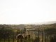 Govone, la Collina degli Elfi riapre le porte alle famiglie dopo la malattia Govone, la Collina degli Elfi riapre le porte alle famiglie dopo la malattia