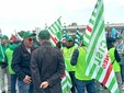 Nelle foto alcuni momenti della manifestazione tenuta in piazza Foro Boario