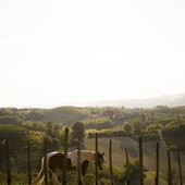 Govone, la Collina degli Elfi riapre le porte alle famiglie dopo la malattia