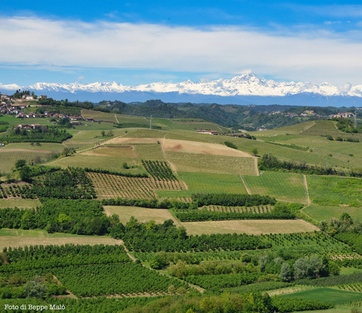 Piemonte Documenteur Film Fest, dal 22 al 29 agosto le Langhe si trasformano nel set delle «bugie» più credibili Piemonte Documenteur Film Fest, dal 22 al 29 agosto le Langhe si trasformano nel set delle «bugie» più credibili